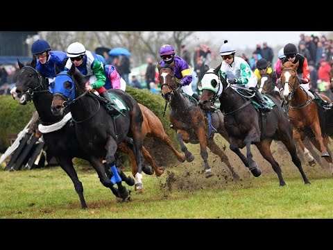 ŽIVĚ 🔴 | dostihy Kolesa – 5. 11. 2023 od 11:30 hodin