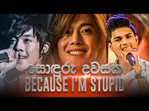 Soduru Dwasaka (සොඳුරු දවසක) & Because I'm Stupid (Remix)