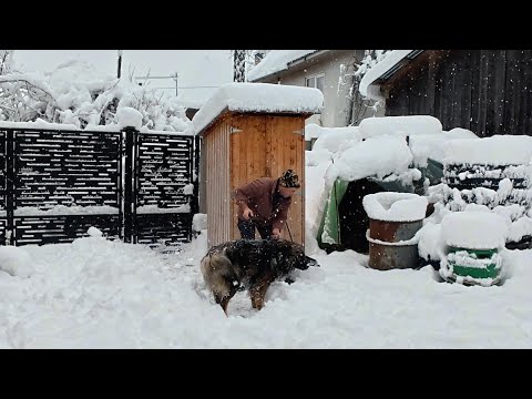 Prima Zăpadă Adevărată după 20 de ani în Munții Apuseni