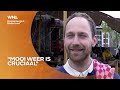 Het wordt prachtig weer, goed nieuws voor horeca: 'Halve liters als warme broodjes over de toonbank'