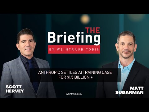 IP lawyers on the settlement: The Briefing