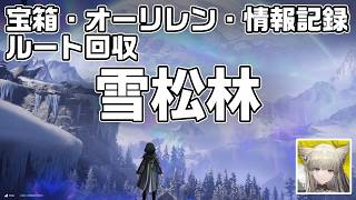 武陵-雪松林の宝箱(資源箱)３９個とオーリレン１３個、タロサイト８個、情報記録の場所をルート解説【アークナイツ：エンドフィールド】【攻略解説】