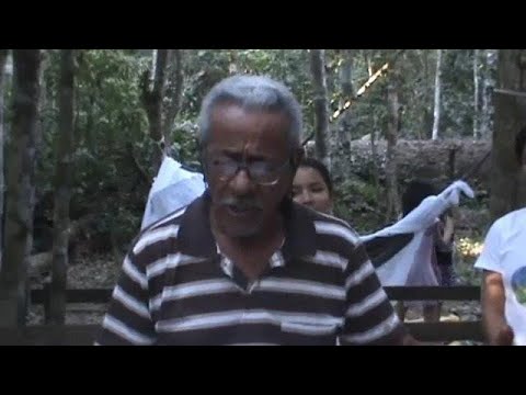 Casmerim Na Floresta. Por Luiz Mendes