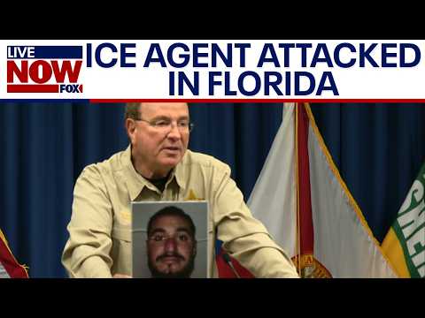 Video | ICE agent allegedly attacked by burglary suspect in Florida, Sheriff Grady Judd update