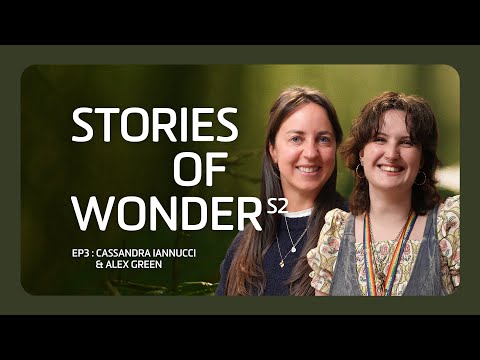 How student-staff partnership programs are transforming universities