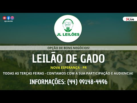 JL Leilões - LEILÃO DE GADO AO VIVO | Terça-Feira 10 de Março 2026 - 19h | Nova Esperança - PR