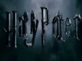 Harry Potter and the Deathly Hallows Part 2 - Fan ...