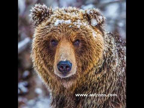 download lagu mp3 mp4 5 May 2019 Horoscope, download lagu 5 May 2019 Horoscope gratis, unduh video klip 5 May 2019 Horoscope