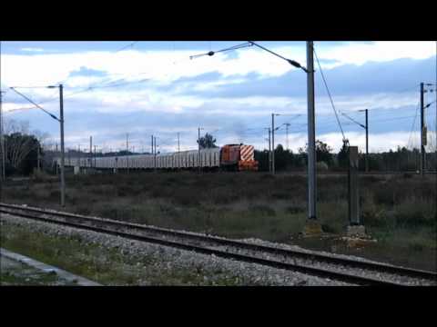 Comboio de Automóveis n.º 69805 - Águas de Moura