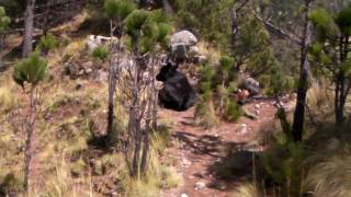 preview picture of video 'La Malinche (6): Sergio no está solo'