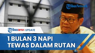IPW Minta Kapolri Perintahkan Seluruh Kapolda Taati Aturan Keselamatan Tahanan
