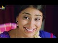 Bhageeratha Movie Shriya Ravi Teja Srinivas Reddy Comedy Telugu Movie Scenes Sri Balaji Video