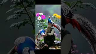 Download lagu *SEJUTA LUKA*RITA SUGIARTO. mp3