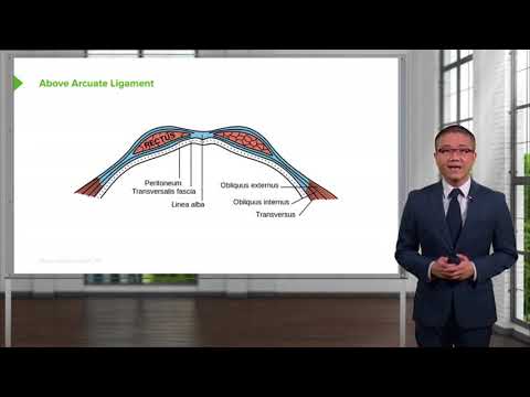 Hernia  Introduction Surgery