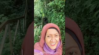 Download lagu Air Terjun WANAGIR video 2 (versi lengkapnya di VIDEO durasi 1.30 menit) mp3