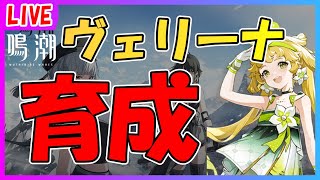 【鳴潮】ヴェリーナ育成します！