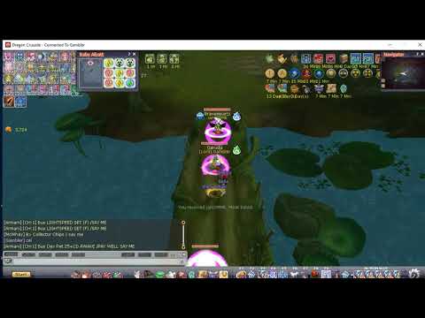 Dragon Crusade FlyFF DR25 DUNGEON (Basilisk Jewelry)