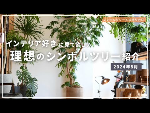 jardin-papillons-gaillarde-fleurs-rouges-jaunes-plante