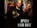 Sadat X - Lyrics (feat. Craig G)