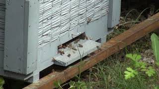 HÍREK A TERMÉSZETBŐL