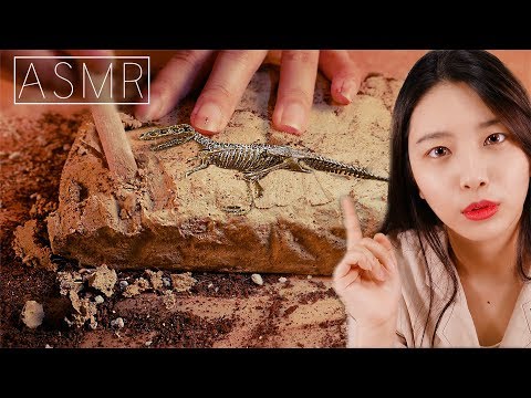 ASMR 공룡 화석발굴 상황극 롤플레잉[Roleplay],꿀꿀선아,suna asmr,化石発掘, fossil excavation ASMR,relaxing Video