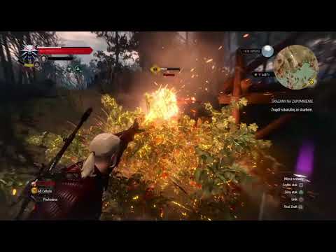 HOW DOES THE MAXIMUM POWER LOOK: YRDEN, QUEN, IGNI, AKSJI, AARD, IN WITCHER 3