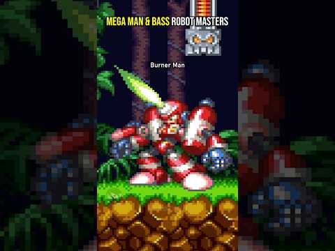 Mega Man & Bass Robot Masters