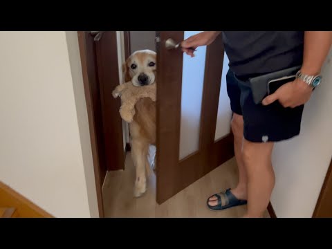 愛犬を置いて食事に出掛けたら激怒されました。