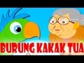 Burung Kakak Tua | Lagu Kanak-Kanak Melayu Malaysia