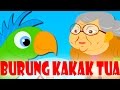 Burung Kakak Tua Lagu Kanak Kanak Melayu Malaysia