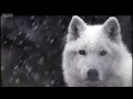 Banda Malta - Lendas (videoclipe) 