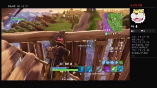フォートナイトps４　直差し　勝数250↑