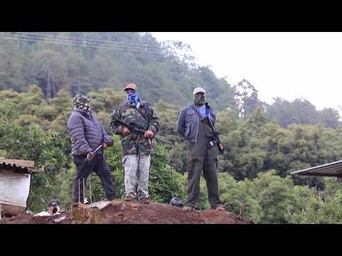 Top Channel/ Fermerët marrin armët kundër karteleve në Meksikë