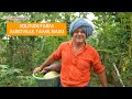 This is an incredible natural food forest grown in Auroville, Tamil Nadu, India DEFAULT Thumbnail