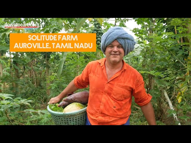 This is an incredible natural food forest grown in Auroville, Tamil Nadu, India SDDEFAULT Thumbnail