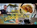 Worlds LARGEST McDonald S Full Tour Unique Food Play Area Arcade Orlando Florida