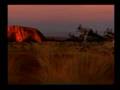 Tekken 2 Roger Wild Roger