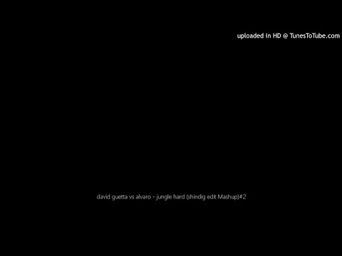 david guetta vs alvaro - jungle hard (shindig edit Mashup)#2