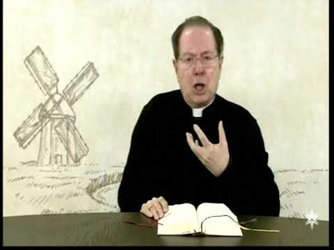 O Pão Nosso  8 Agosto 2019      -      Pe,F.C.Cardoso