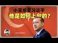 小亚细亚的习近平 他是怎么修宪上台的