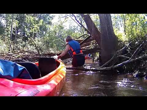 VPDK''Saime''-Tartaks 2020.06.06/07