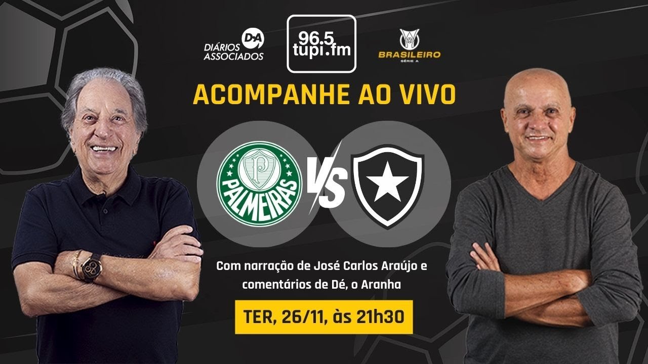 PALMEIRAS 0 X 1 BOTAFOGO - Campeonato Brasileiro - 35ª Rodada - 26/11/2024 - AO VIVO
