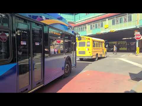 Bx12 Bus