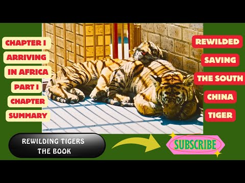 Rewilded Chapter 1: Part 1 - A New Beginning in the African Wilderness