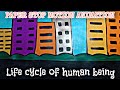 LIFE CYCLE OF HUMAN BEING IN PAPER STOP MOTION ANIMATION MAK INDIA