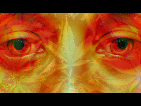 The Darkest "Greening Out" Stories On The Internet