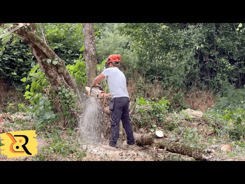 Our BIGGEST OBSTACLE Yet (Ep. 7)