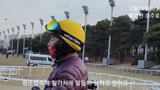 활기찬 경주로/따스함속에 기수 조교사 관리사 그리고 horse이 즐겁게 훈련 하고 있네요/평온한 경주로 사랑해요~^^^(과천경마장)