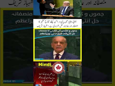 Just & fair resolution of Kashmir dispute essential for lasting peace in South Asia: Shehbaz Sharif