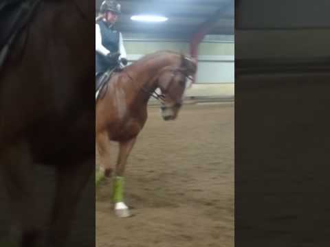 Mazze träning Leena Lundin 170127